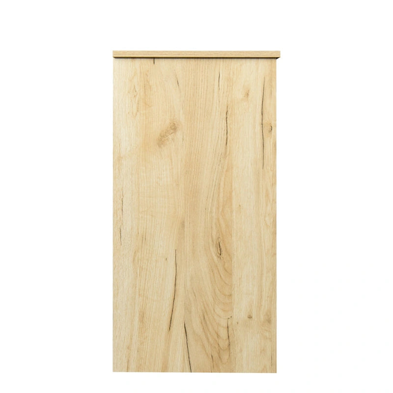 Buffet moderne en bois avec 2 portes, 1 compartiment de rangement et 2 tiroirs