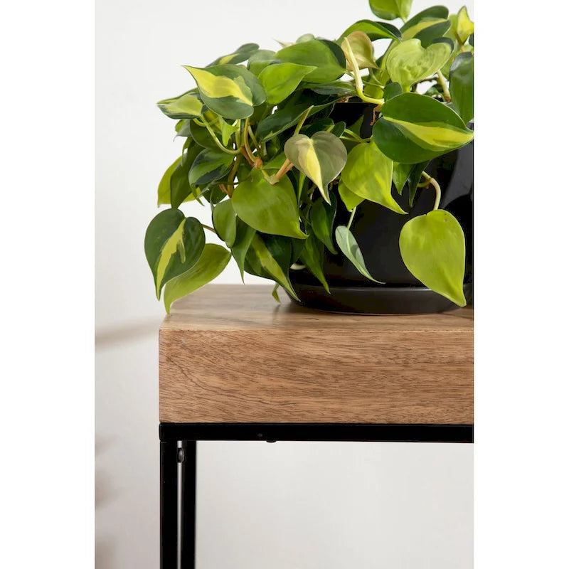 Smalle bijzettafel van hout en metaal